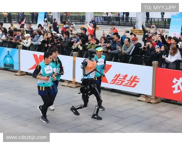 上海极限运动队的蜕变与成长探索极限运动会的未来之路